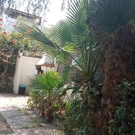 Apartamento - Jardin En Playa San Sebastian Sitges Buitenkant foto
